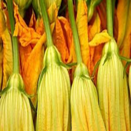 SBJEI-FRESH PUMPKIN FLOWER